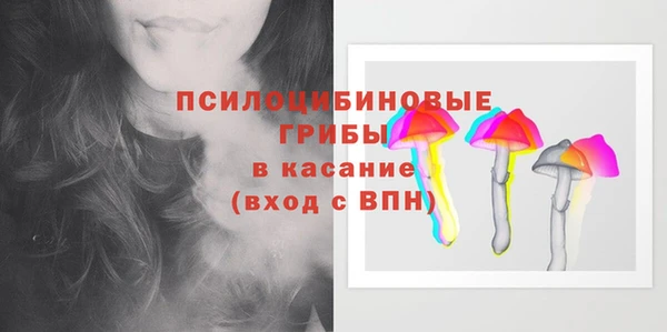 ГАЛЛЮЦИНОГЕННЫЕ ГРИБЫ Арсеньев