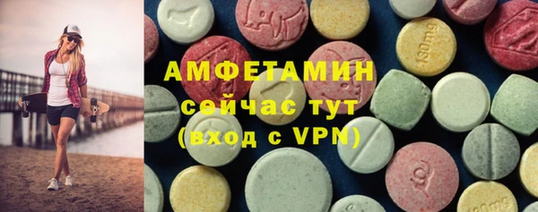 ГАЛЛЮЦИНОГЕННЫЕ ГРИБЫ Аркадак